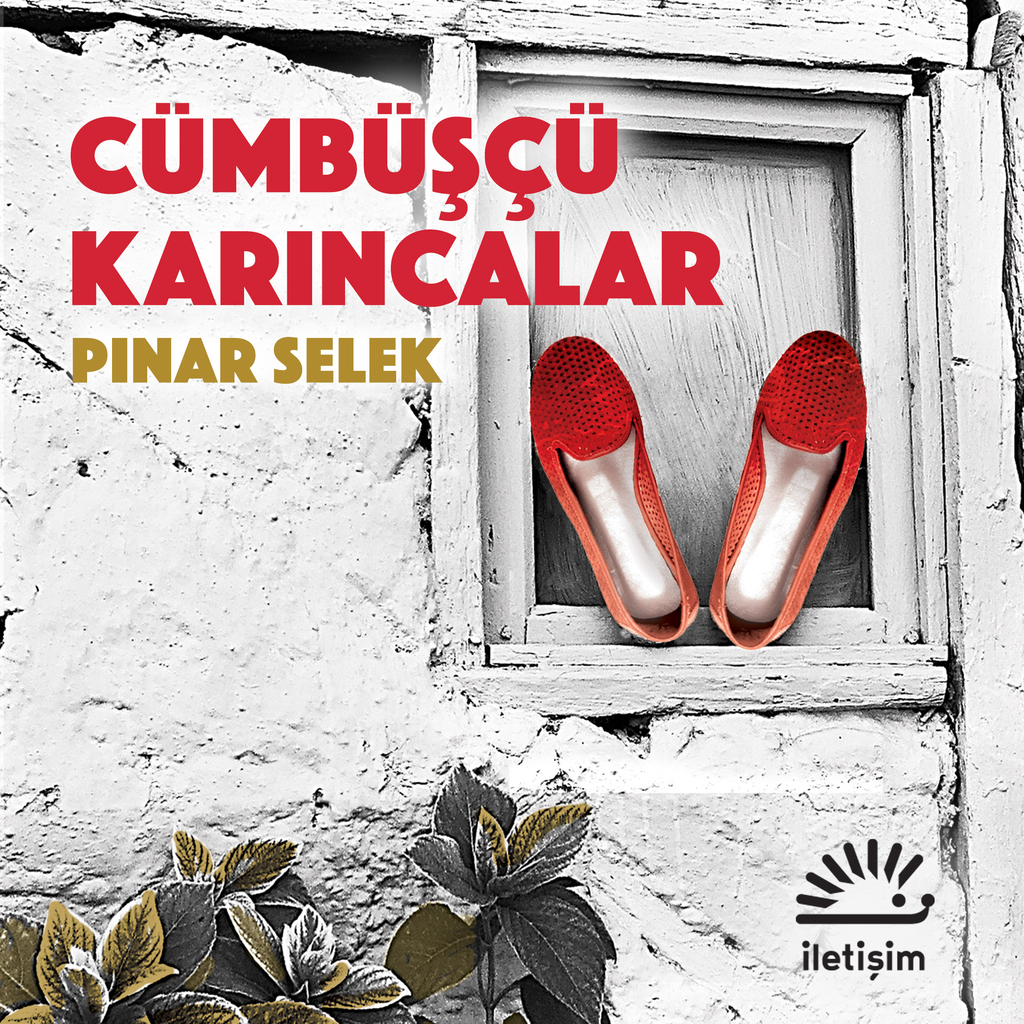Cümbüşçü Karıncalar