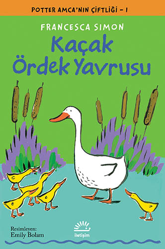Kaçak Ördek Yavrusu