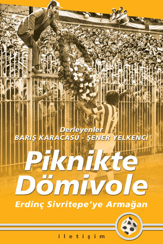 Piknikte Dömivole